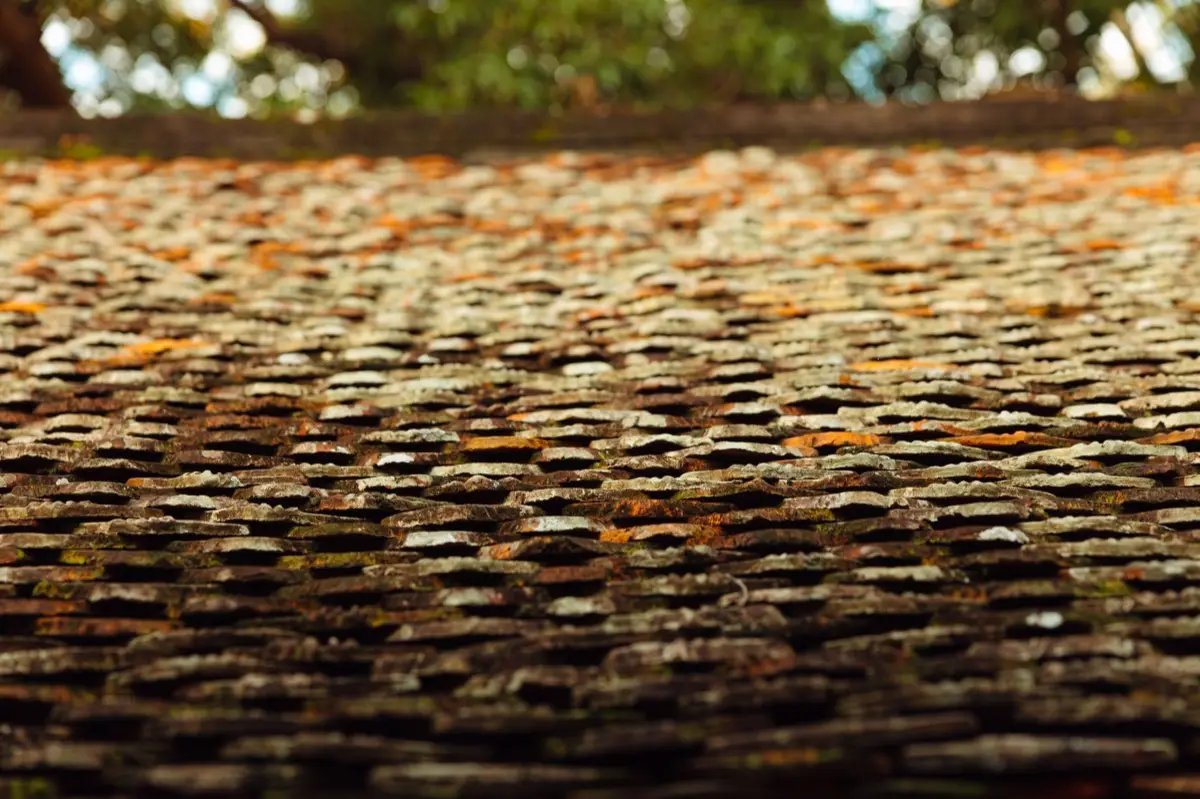 Aging shingle roof with moss growth and granule loss in Owensboro, KY